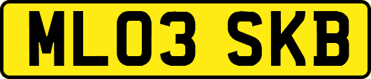 ML03SKB