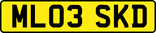 ML03SKD