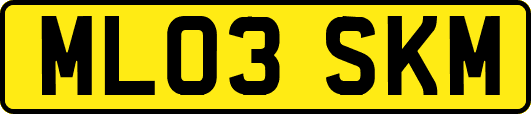 ML03SKM