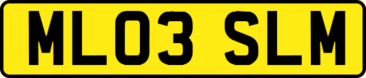 ML03SLM