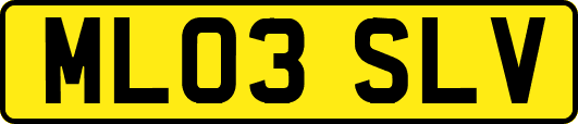 ML03SLV