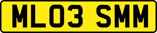 ML03SMM