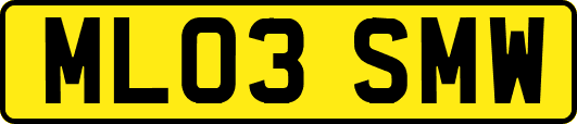 ML03SMW