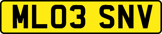 ML03SNV