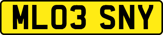 ML03SNY