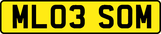 ML03SOM