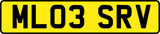 ML03SRV