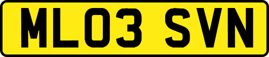 ML03SVN
