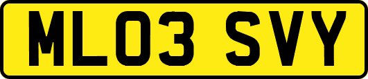 ML03SVY