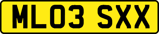 ML03SXX