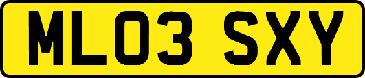 ML03SXY