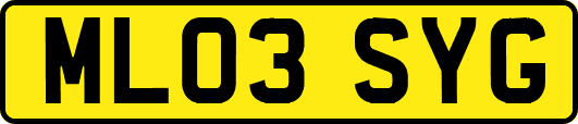 ML03SYG