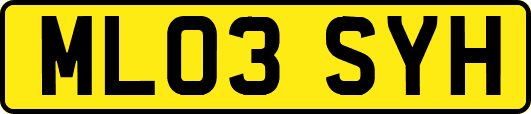 ML03SYH
