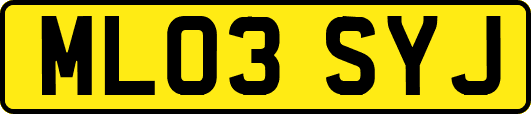 ML03SYJ