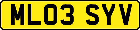 ML03SYV