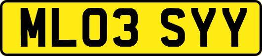 ML03SYY