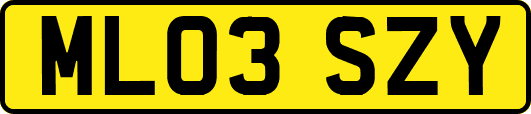 ML03SZY