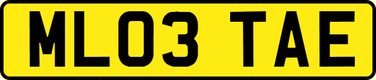 ML03TAE