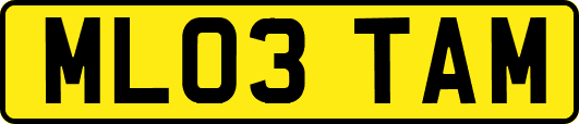 ML03TAM