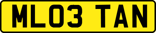 ML03TAN