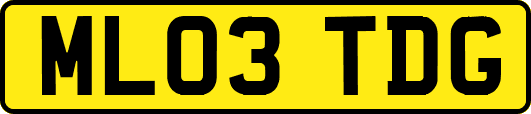 ML03TDG