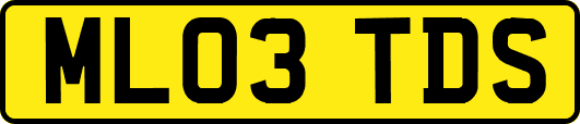 ML03TDS
