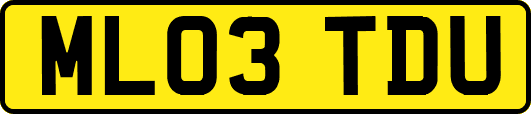 ML03TDU