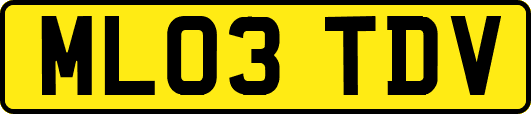 ML03TDV