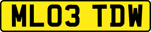 ML03TDW