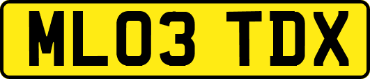 ML03TDX