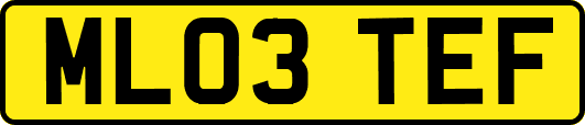 ML03TEF
