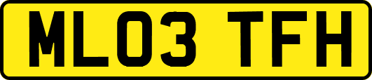 ML03TFH