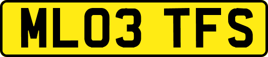 ML03TFS