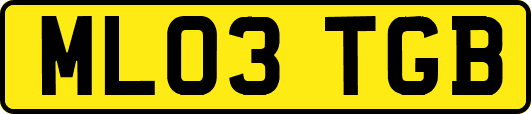 ML03TGB