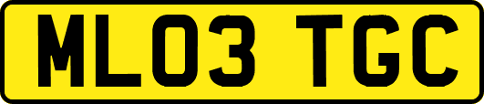 ML03TGC