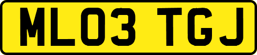 ML03TGJ