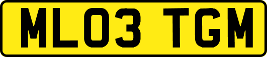 ML03TGM