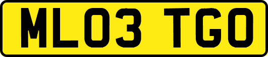 ML03TGO
