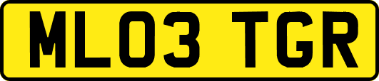 ML03TGR