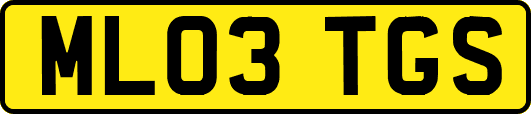 ML03TGS