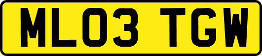 ML03TGW