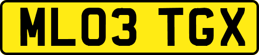 ML03TGX