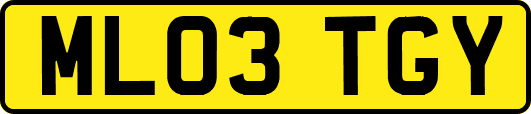 ML03TGY