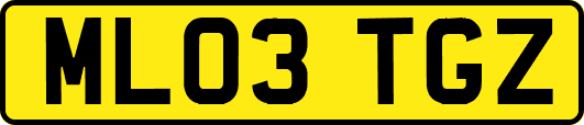 ML03TGZ