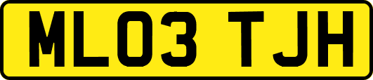 ML03TJH