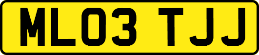 ML03TJJ