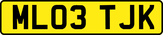 ML03TJK