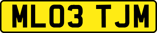 ML03TJM
