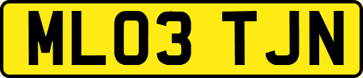 ML03TJN