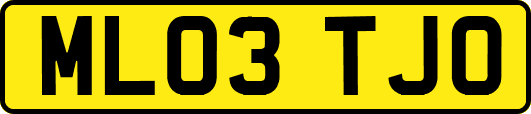 ML03TJO